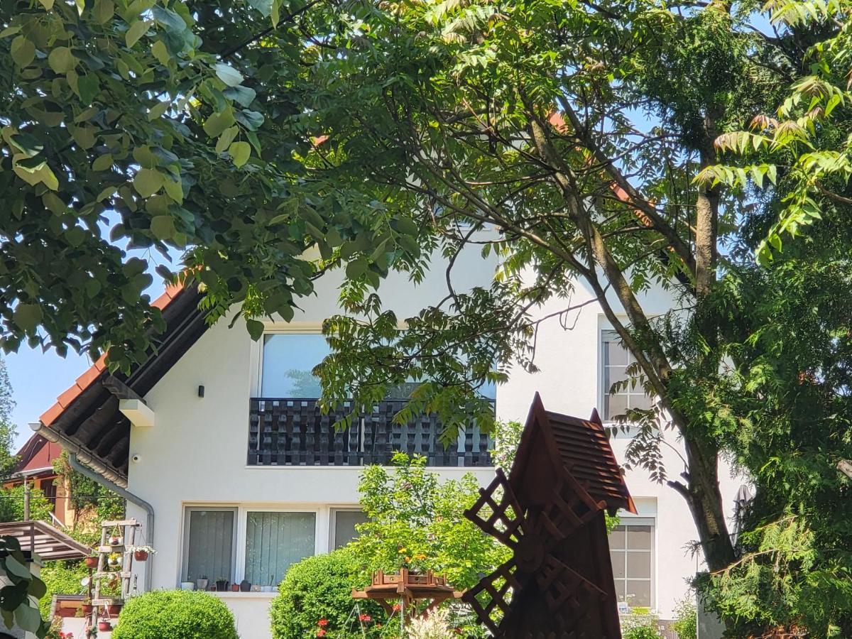 Vila Jovana 维尔蒂尼克 外观 照片