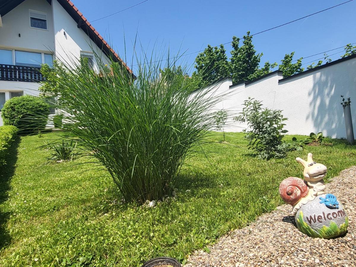 Vila Jovana 维尔蒂尼克 外观 照片