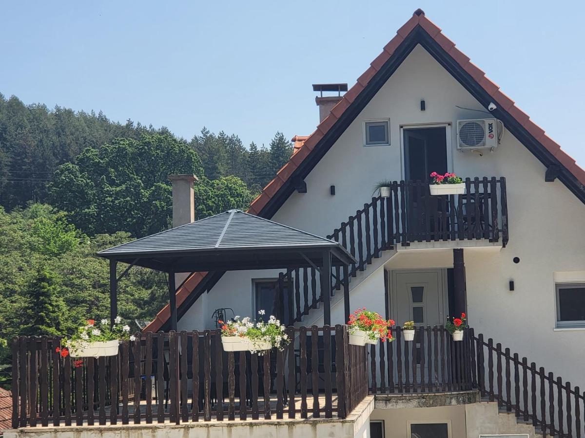 Vila Jovana 维尔蒂尼克 外观 照片