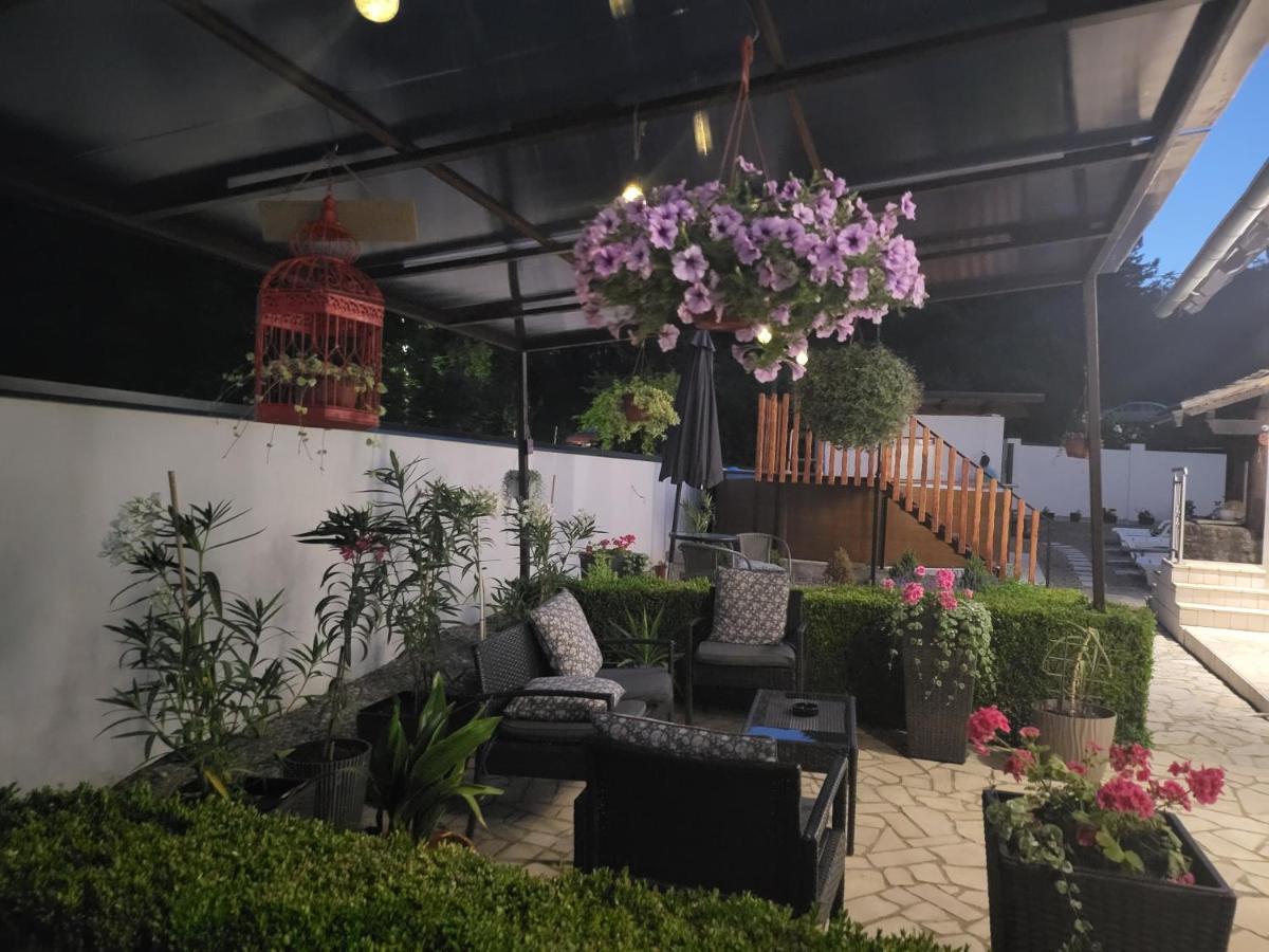Vila Jovana 维尔蒂尼克 外观 照片