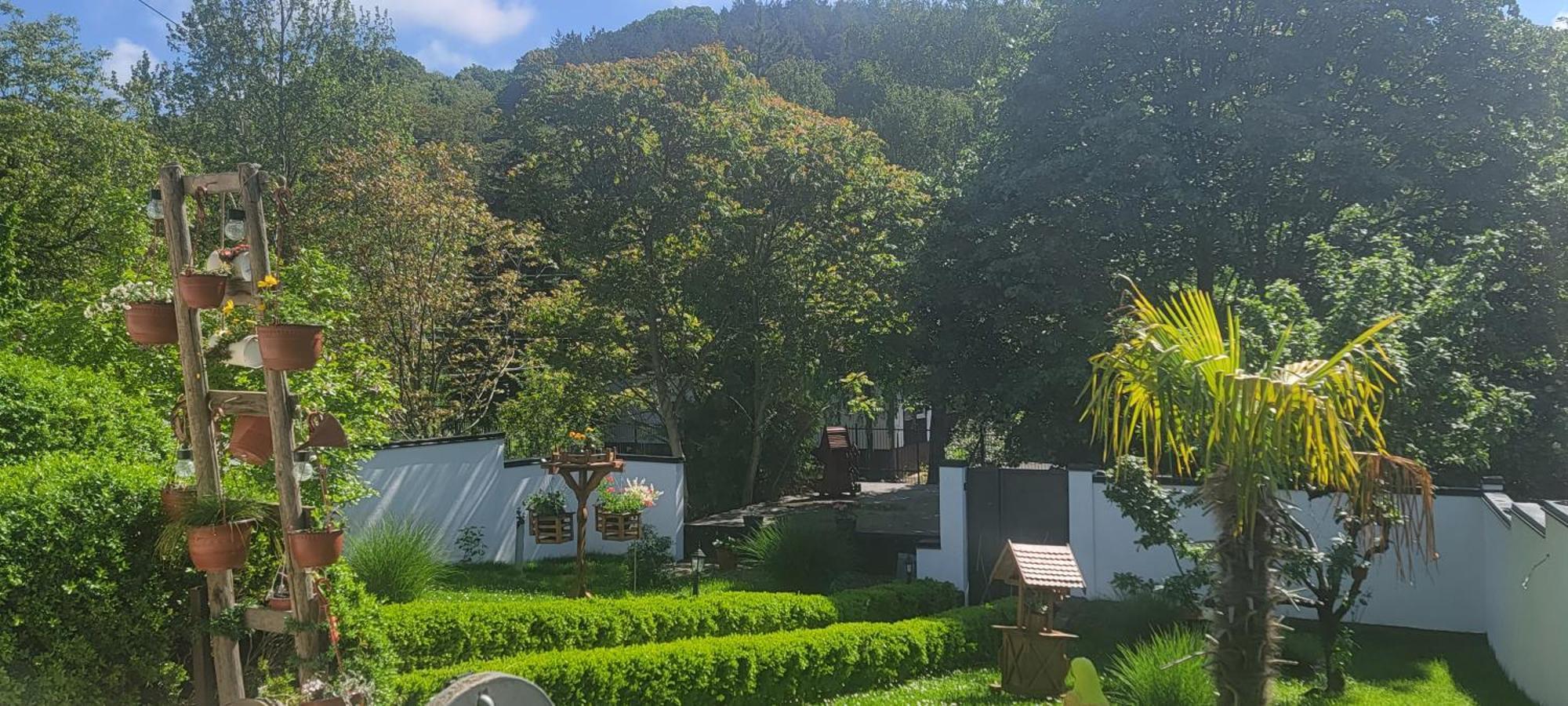Vila Jovana 维尔蒂尼克 外观 照片