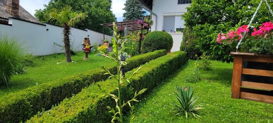 Vila Jovana 维尔蒂尼克 外观 照片