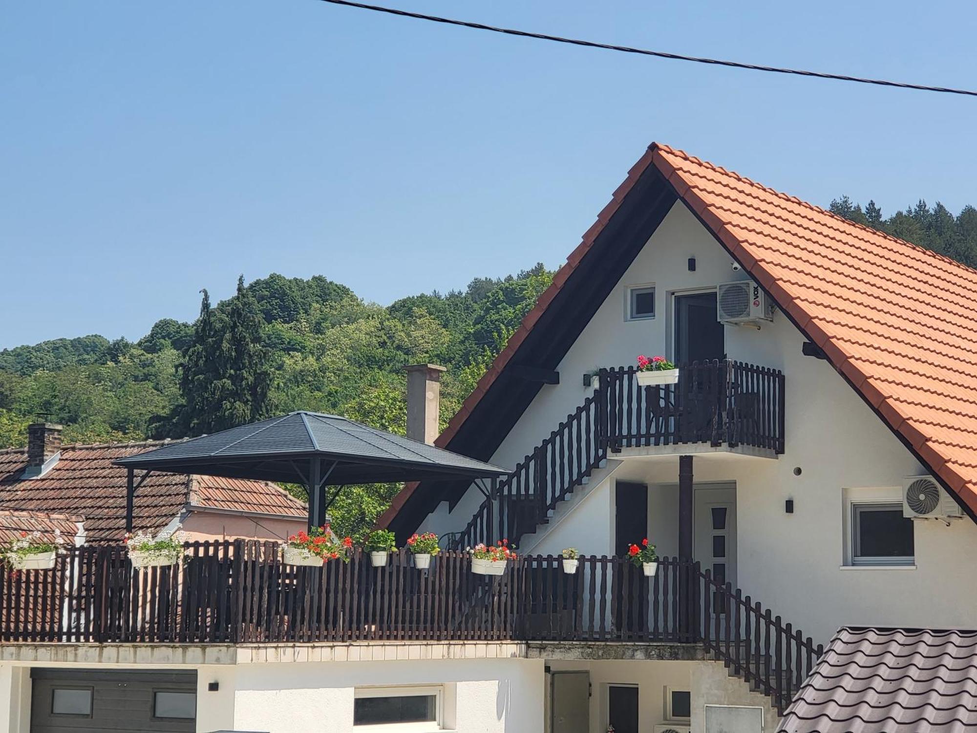 Vila Jovana 维尔蒂尼克 外观 照片